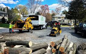 Best Lawn Grading and Leveling  in Pecan Plantation, TX